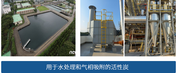 水处理和气相吸附用活性炭